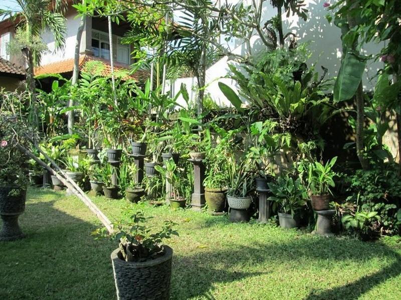 Raka Rai Bungalows Ουμπούντ Εξωτερικό φωτογραφία